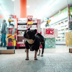 Fornecedores de Produtos Para Pet Shop no Atacado Para Revenda