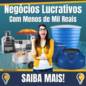 Negócios Lucrativos Para Montar Com Apenas Mil Reais